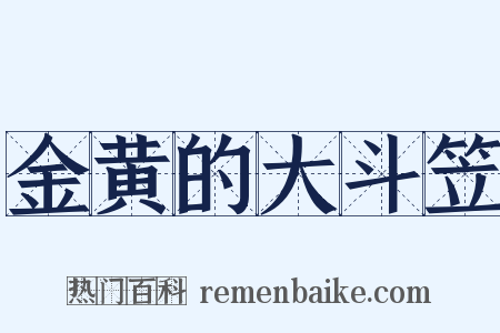 金黄的大斗笠是什么意思的图片
